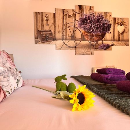 Casa Turistica Torreon De Villafames エクステリア 写真